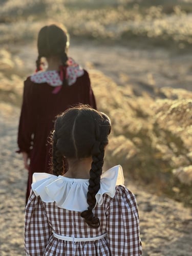 فستان كاروهات بني بإبه كبيره .