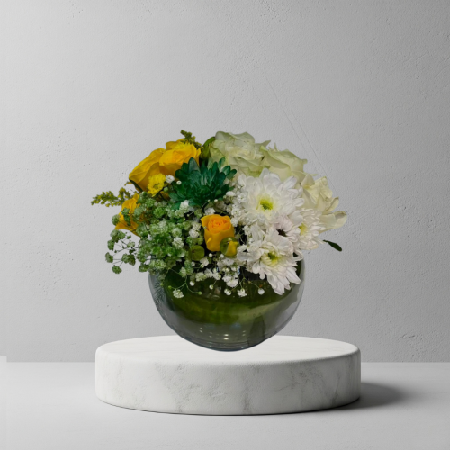 فازا دائريه للمناسبات الرسميه