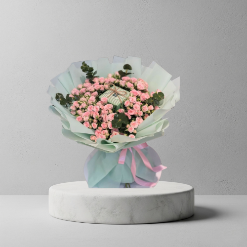 باقة الباتشي 3