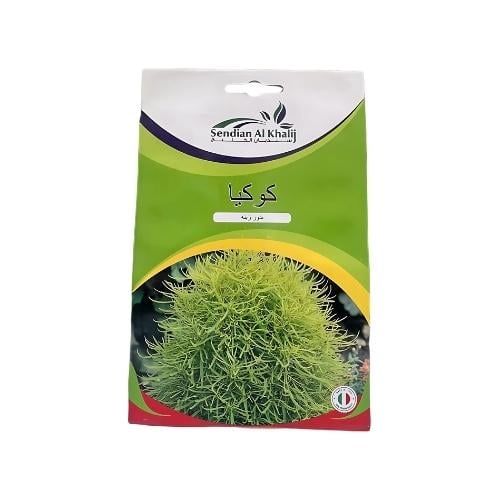 بذور كوكيا للزراعة