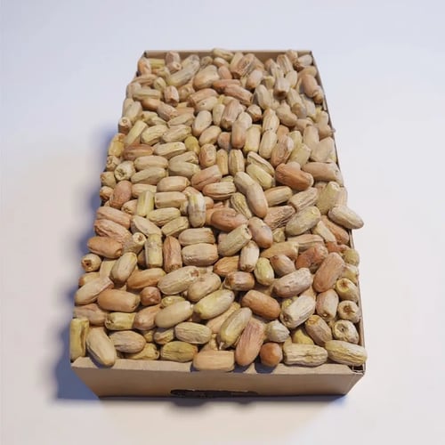 تمر قصب لبانه يبدأ بوزن 250 جرام