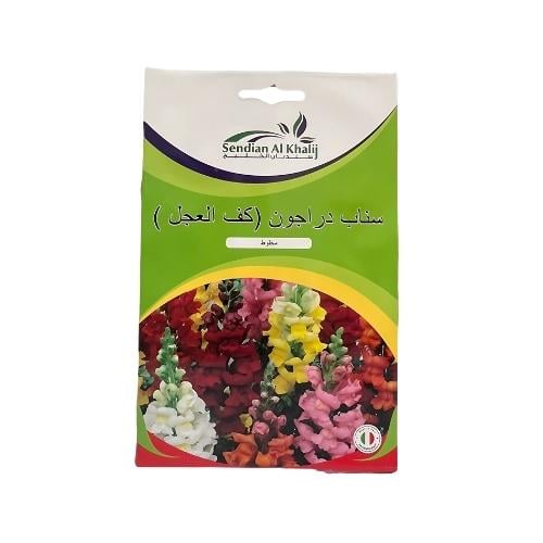 بذور كف العجل سناب دراجون للزراعة