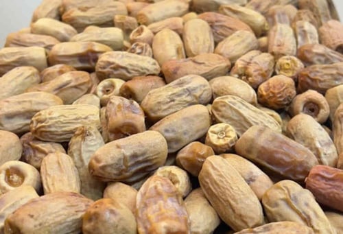 تمر قصب لبانه يبدأ بوزن 250 جرام