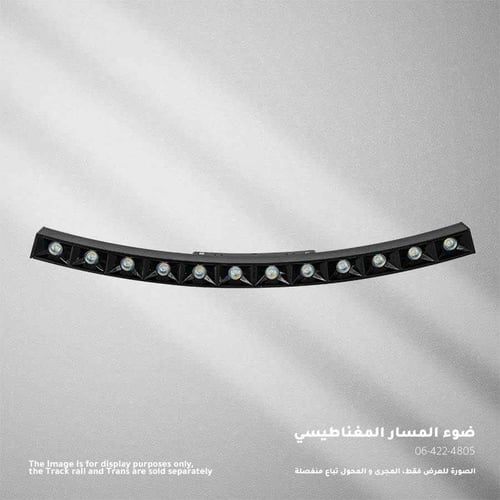 ZINCO كشاف مغناطيسي دائري 12 وات شمسي