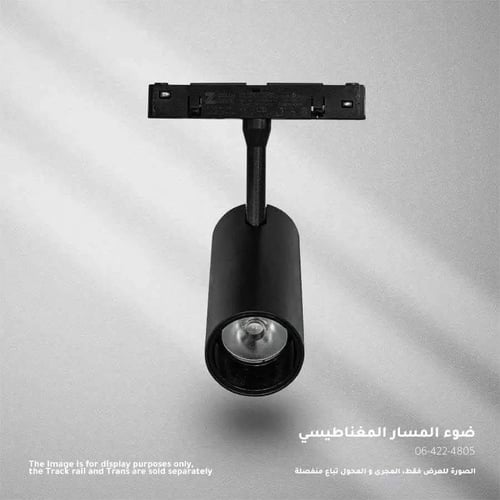 ZINCO كشاف مغناطيسي دائري 10 وات شمسي