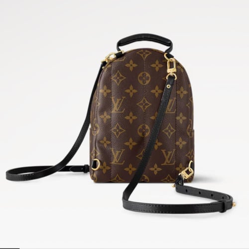 Louis Vuitton حقيبة