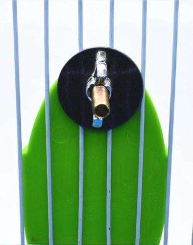 حامل طعام على شكل ورقة خضراء لقفص الطيور وإطعام ال...