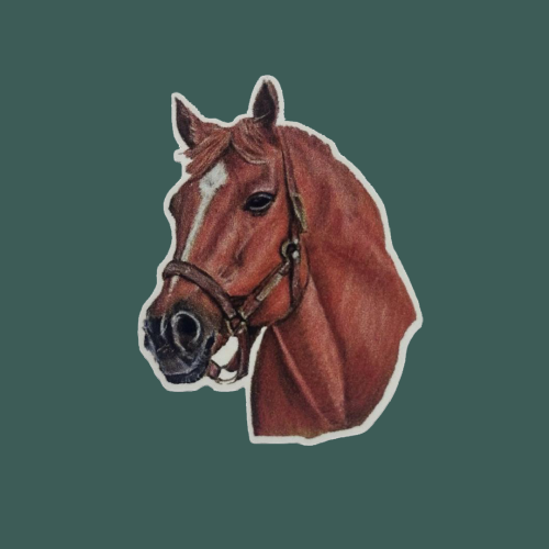 ستيكرز راس حصان | خيل " حديد "