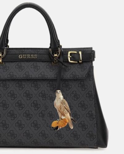 تعليقه | صقر