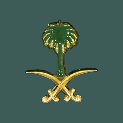 ستيكرز سيفين و نخله " حديد "