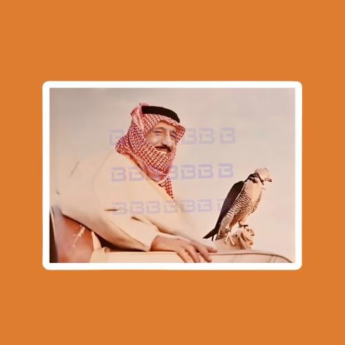 ستيكرز الملك سلمان