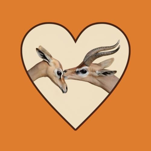 ستيكرز غزال