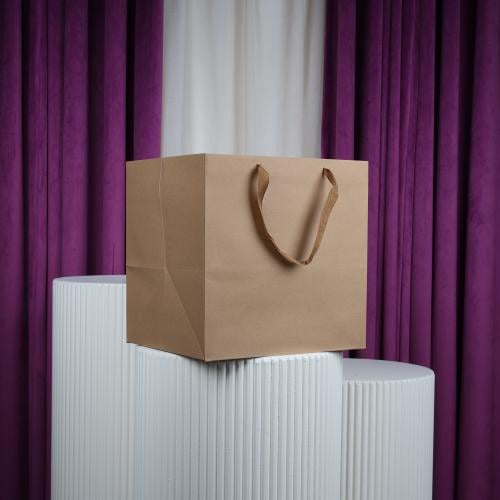 أكياس مربع كبير كرتوني شيال