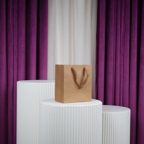 أكياس ورقية مستطيل كرتوني شيال