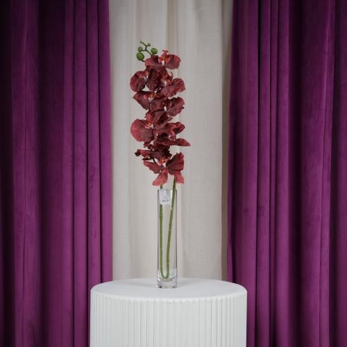 غصن زهر أوركيد عودي