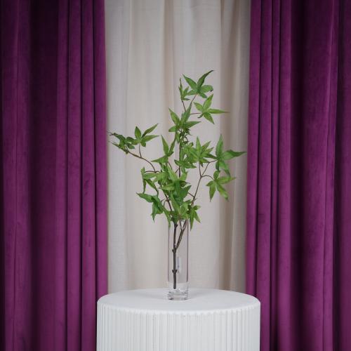 أوراق شجر خريفية أخضر