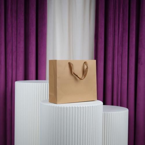 أكياس مستطيل 4 كرتوني وسط شيال