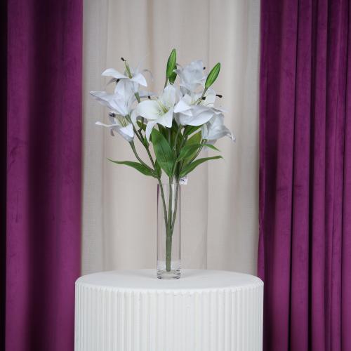 ورد كازبلانكا أبيض