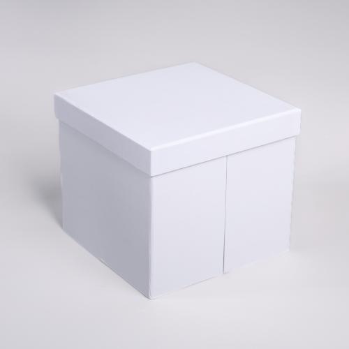 علب متعددة الأقسام أبيض