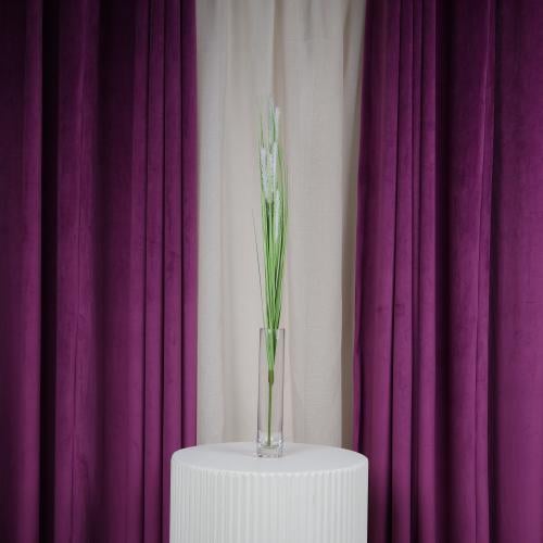 باقة لافندر مجفف خضار على أبيض