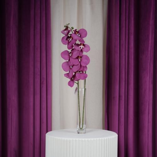 غصن أوركيد ليلكي