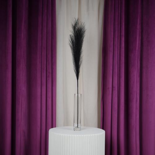 ساق ريش مجفف أسود