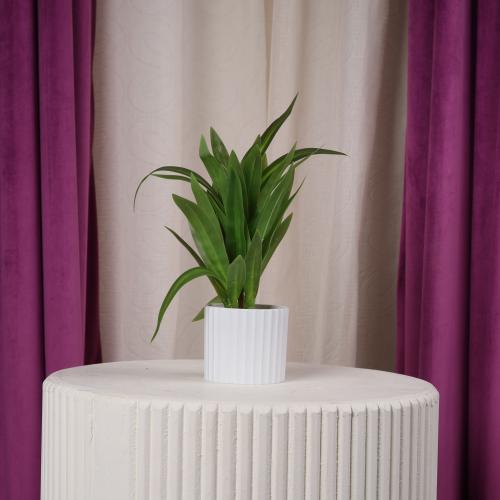 شجر زينة صناعي صغير اخضر