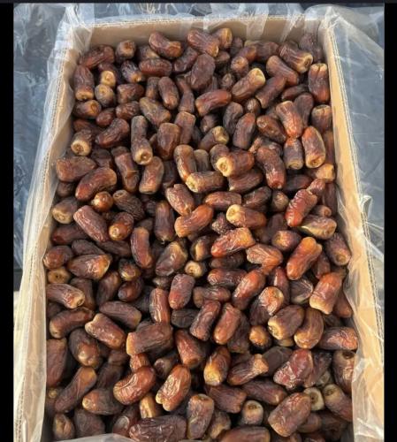 برني المدينة