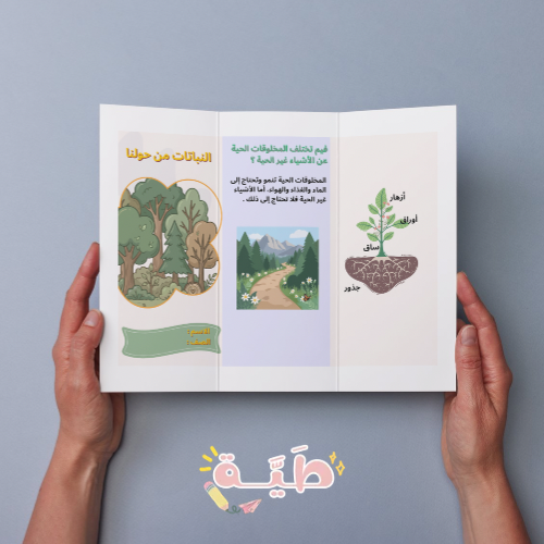 مطوية علوم النباتات من حولنا الصف الأول ابتدائي ال...