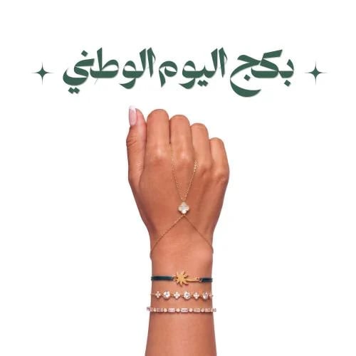 بكج نجد Najd package