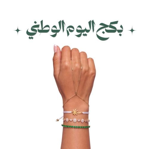 بكج النخلة Palm package
