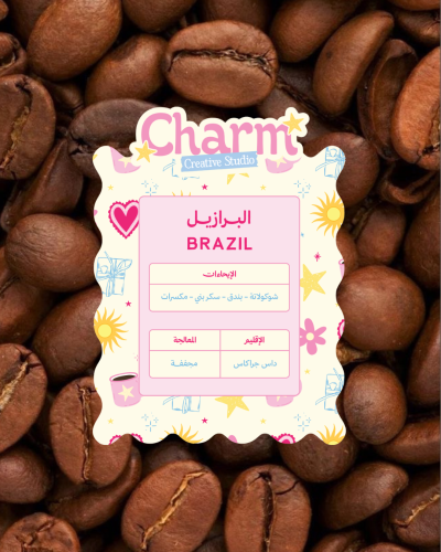 Brazil Charm