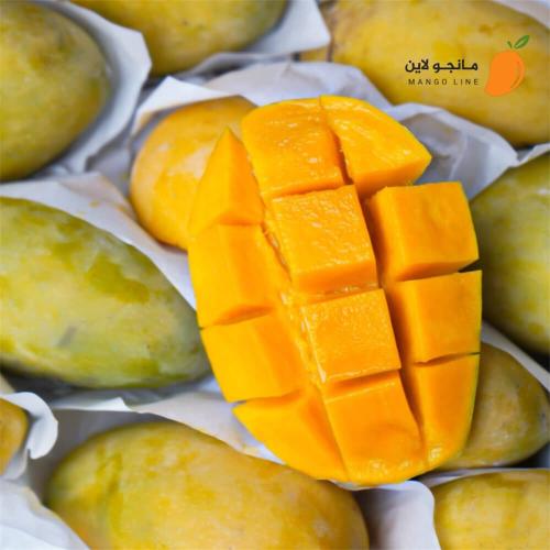 كرتون مانجو فص