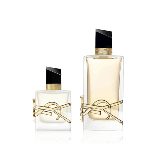 اف سان لوران مجموعة ليبر - قطعيتن-أموراج