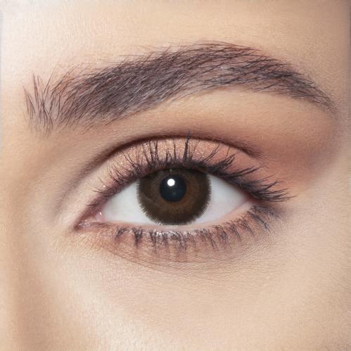 عدسات بيلا اليومية Cedar