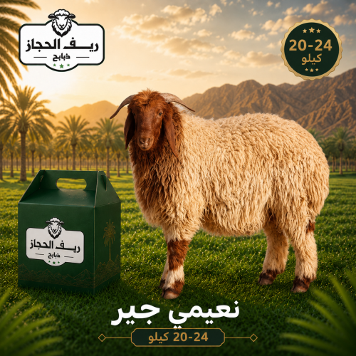 نعيمي جبر