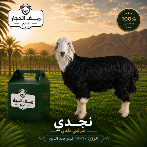 نجدي هرفي بلدي