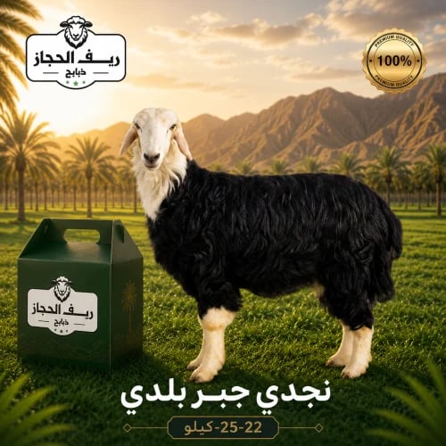 نجدي جبر بلدي