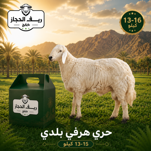 حري هرفي بلدي