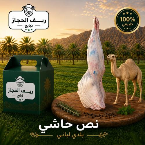 نص حاشي بلدي لباني
