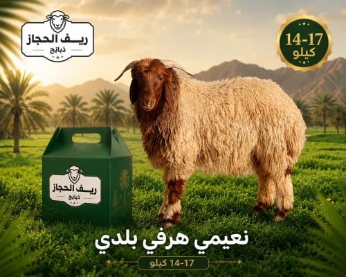 نعيمي هرفي بلدي