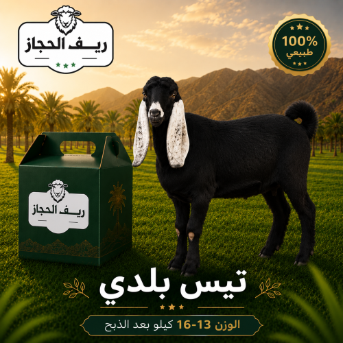 تيس بلدي