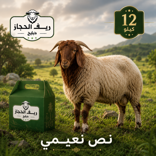 نصف نعيمي