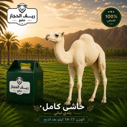 حاشي كامل بلدي لباني