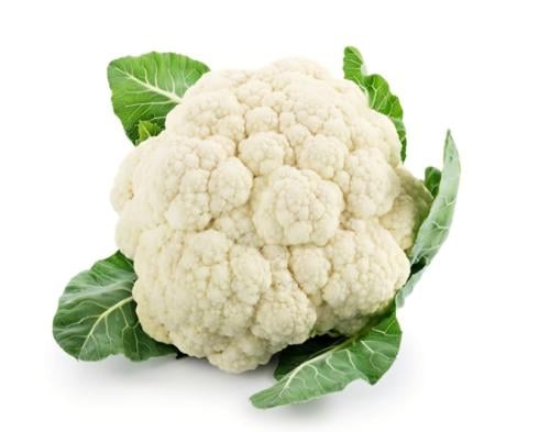 زهرة