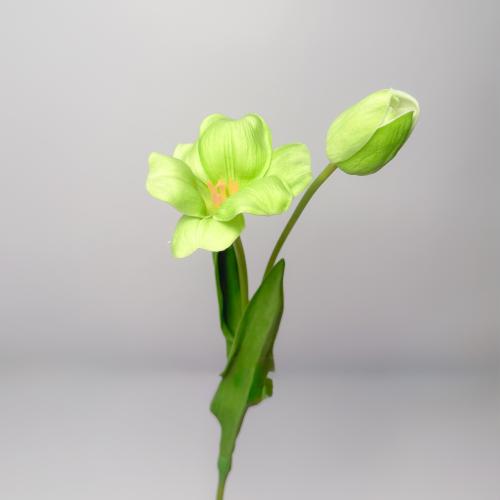ورد