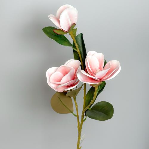 ورد