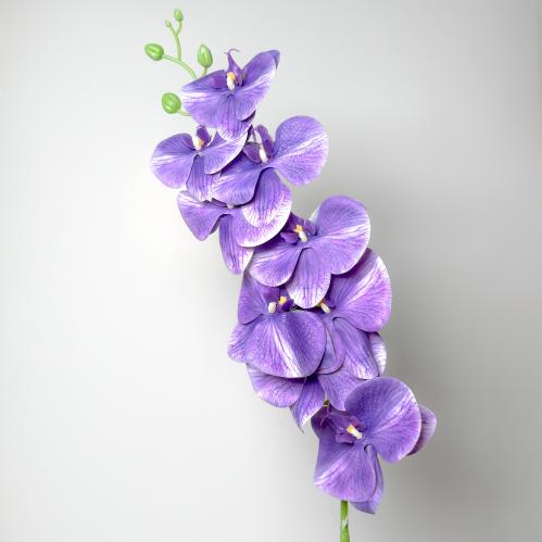ورد