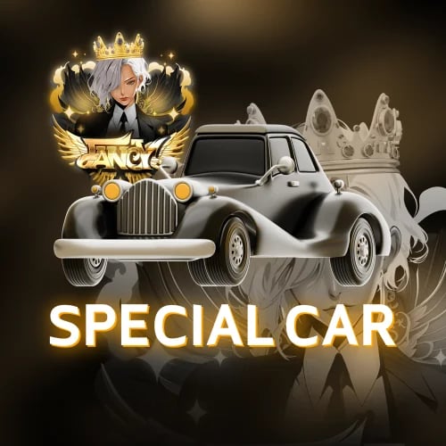 Special car