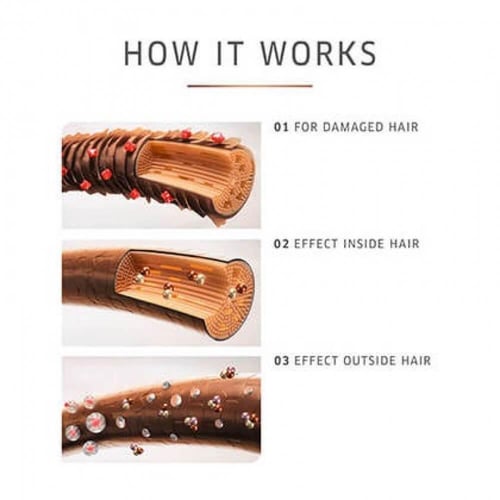 شامبو الإصلاح المكثف فيوجن بليكس للشعر التالف-ويلا...